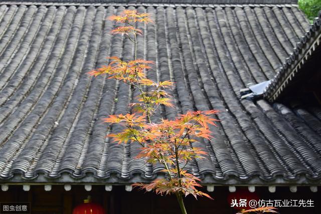 導(dǎo)讀：農(nóng)村蓋房用樹脂瓦適合嗎？聽完行家的分析，恍然大悟