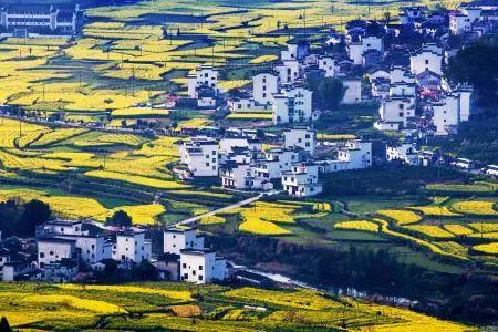 中國***美的鄉(xiāng)村景色，看看有你的家鄉(xiāng)嗎
