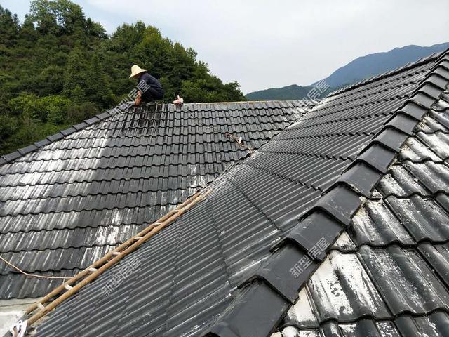30元一平的樹脂瓦省錢又耐用？網(wǎng)友：吃飽沒事干，用一年就得換