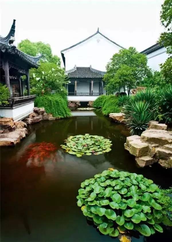 小院回廊，一步一景！